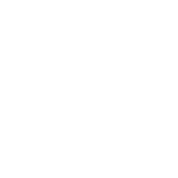 icon email